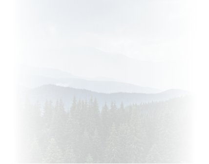 Sustainability