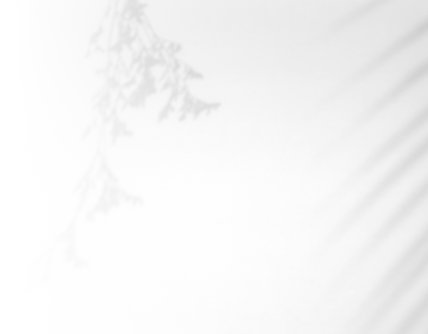 SHIPPING & PAYMENT
